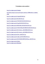 Referāts 'Sporta veidi', 24.