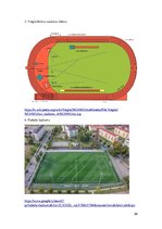 Referāts 'Sporta veidi', 26.