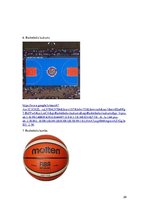 Referāts 'Sporta veidi', 28.