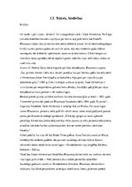 Referāts 'Rūdolfa Blaumaņa biogrāfija, lugas "Pazudušais dēls" tapšana', 20.