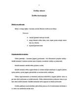 Referāts 'Bērnības svētki', 7.