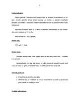 Referāts 'Bērnības svētki', 8.