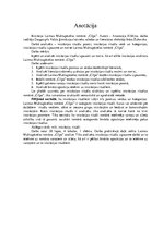 Referāts 'Iniciācija Laimas Muktupāvelas romānā "Cilpa"', 4.