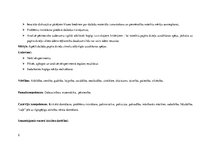 Konspekts 'Dabaszinību stundas konspekts', 2.