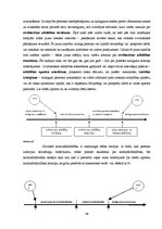 Diplomdarbs 'Juridiskā atbildība, vaina un sods', 65.