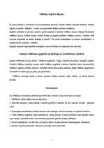 Konspekts 'Vēlēšanu būtība un vēlēšanu tiesības', 6.