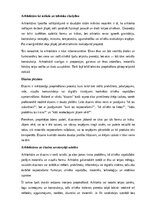 Referāts 'Arhitektūra un dizains', 2.