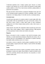 Referāts 'Arhitektūra un dizains', 7.