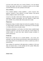 Referāts 'Arhitektūra un dizains', 8.