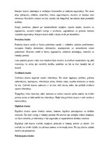 Referāts 'Arhitektūra un dizains', 9.