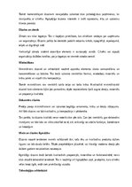 Referāts 'Arhitektūra un dizains', 17.