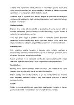 Referāts 'Arhitektūra un dizains', 19.