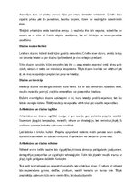 Referāts 'Arhitektūra un dizains', 22.
