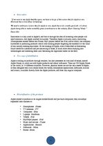 Referāts 'Marketing Strategy in Apple', 7.