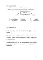 Referāts 'Paškontroles sistēma kafejnīcā "Atpūta"', 22.