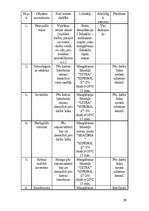 Referāts 'Paškontroles sistēma kafejnīcā "Atpūta"', 28.