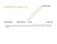 Paraugs 'Pārbaudes darbs mūzikā tālmācībā', 2.