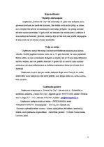 Biznesa plāns 'Biznesa plāns "Detroit Pie City"', 3.