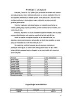 Biznesa plāns 'Biznesa plāns "Detroit Pie City"', 4.