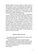 Biznesa plāns 'Biznesa plāns "Detroit Pie City"', 6.