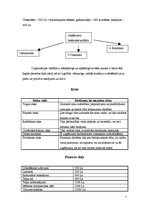 Biznesa plāns 'Biznesa plāns "Detroit Pie City"', 7.