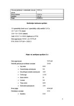 Biznesa plāns 'Biznesa plāns "Detroit Pie City"', 8.