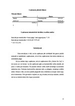 Biznesa plāns 'Biznesa plāns "Detroit Pie City"', 10.