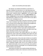 Referāts 'Aktīvās atpūtas un izklaides socioloģija', 6.