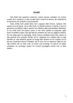 Referāts 'Motivācijas ietekme karjeras veidošanā', 3.