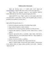 Referāts 'Jelgavas pilsētas pašvaldības iestādes "Kultūra" kultūrpotenciāla izvērtējums', 5.