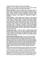 Konspekts 'Nemateriālās kultūras mantojums', 1.