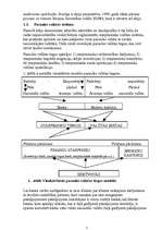 Referāts 'Pasaules valūtas tirgus', 7.