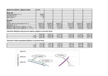 Referāts 'Finanšu aprēķinu modelēšana Excel vidē ', 4.