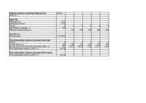 Referāts 'Finanšu aprēķinu modelēšana Excel vidē ', 24.