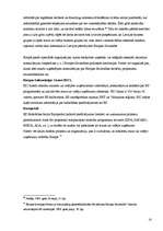 Referāts 'Latvijas biznesa grupu intereses un to pārstāvniecība Eiropas Savienībā', 16.