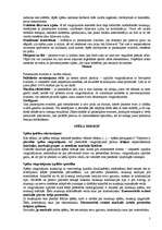 Konspekts 'Trenažieru izmantošanas metodika smagatlētikas sporta veidos', 7.