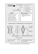 Konspekts 'Trenažieru izmantošanas metodika smagatlētikas sporta veidos', 12.