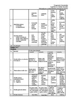 Prakses atskaite 'Bērnu individuālās tiesības', 11.