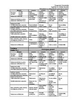 Prakses atskaite 'Bērnu individuālās tiesības', 19.