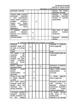 Prakses atskaite 'Bērnu individuālās tiesības', 31.