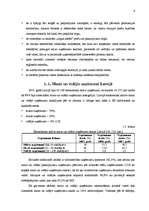 Referāts 'Mazo un vidējo uzņēmumu attīstība Vidzemes reģionā', 5.