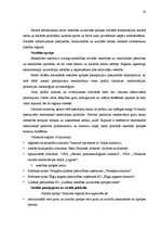 Referāts 'Mazo un vidējo uzņēmumu attīstība Vidzemes reģionā', 19.