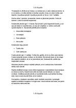 Referāts 'Aknas un visizplatītākās aknu slimības', 5.