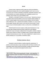 Referāts 'Feministe - 20.gadsimta eiropietes "modelis"', 2.