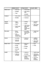 Paraugs 'Personas apraksts, darba apraksts', 2.