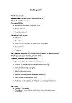 Paraugs 'Personas apraksts, darba apraksts', 3.