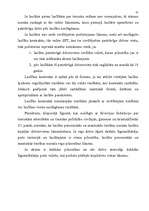 Diplomdarbs 'Laulības līguma noslēgšana un izbeigšanās', 41.