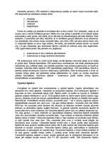 Referāts 'Optiskais kabelis', 5.