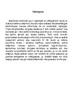 Referāts 'Kultūru atšķirības', 15.