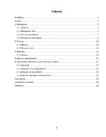 Referāts 'Ķermeņa māksla', 2.